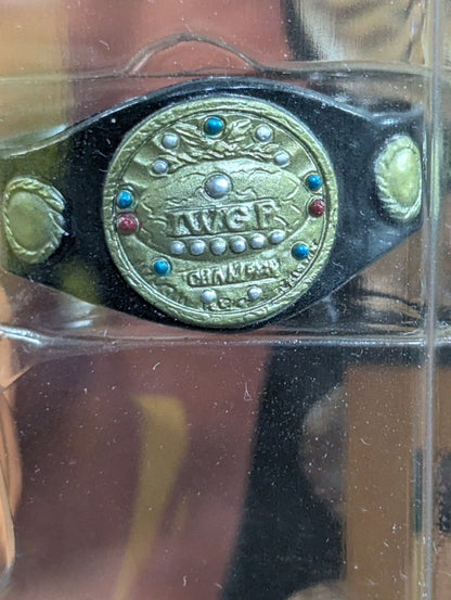 藤田和之(IWGP初代＆2代目・DX)