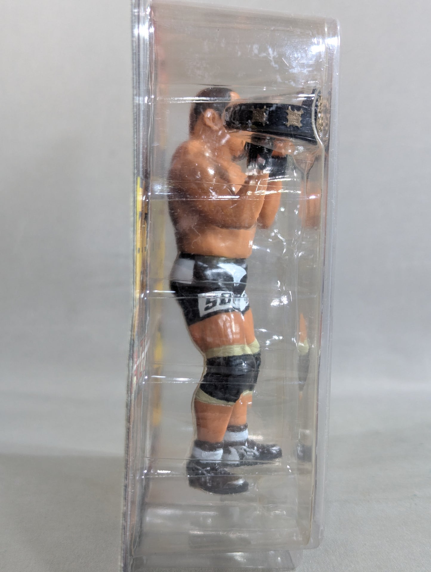 藤田和之(IWGP初代＆2代目・DX)