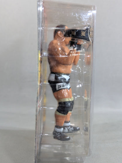 藤田和之(IWGP初代＆2代目・DX)