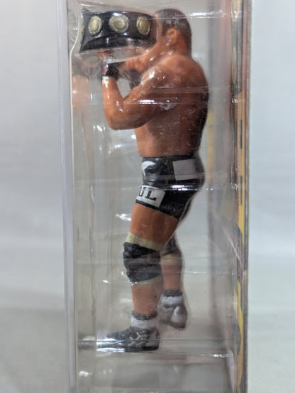 藤田和之(IWGP初代＆2代目・DX)