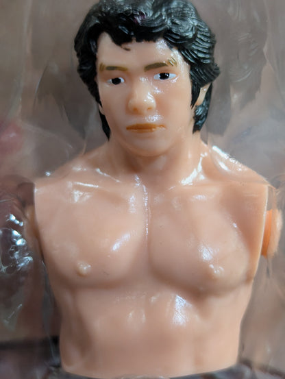 The first Tiger Mask (with Satoru Sayama  torso)