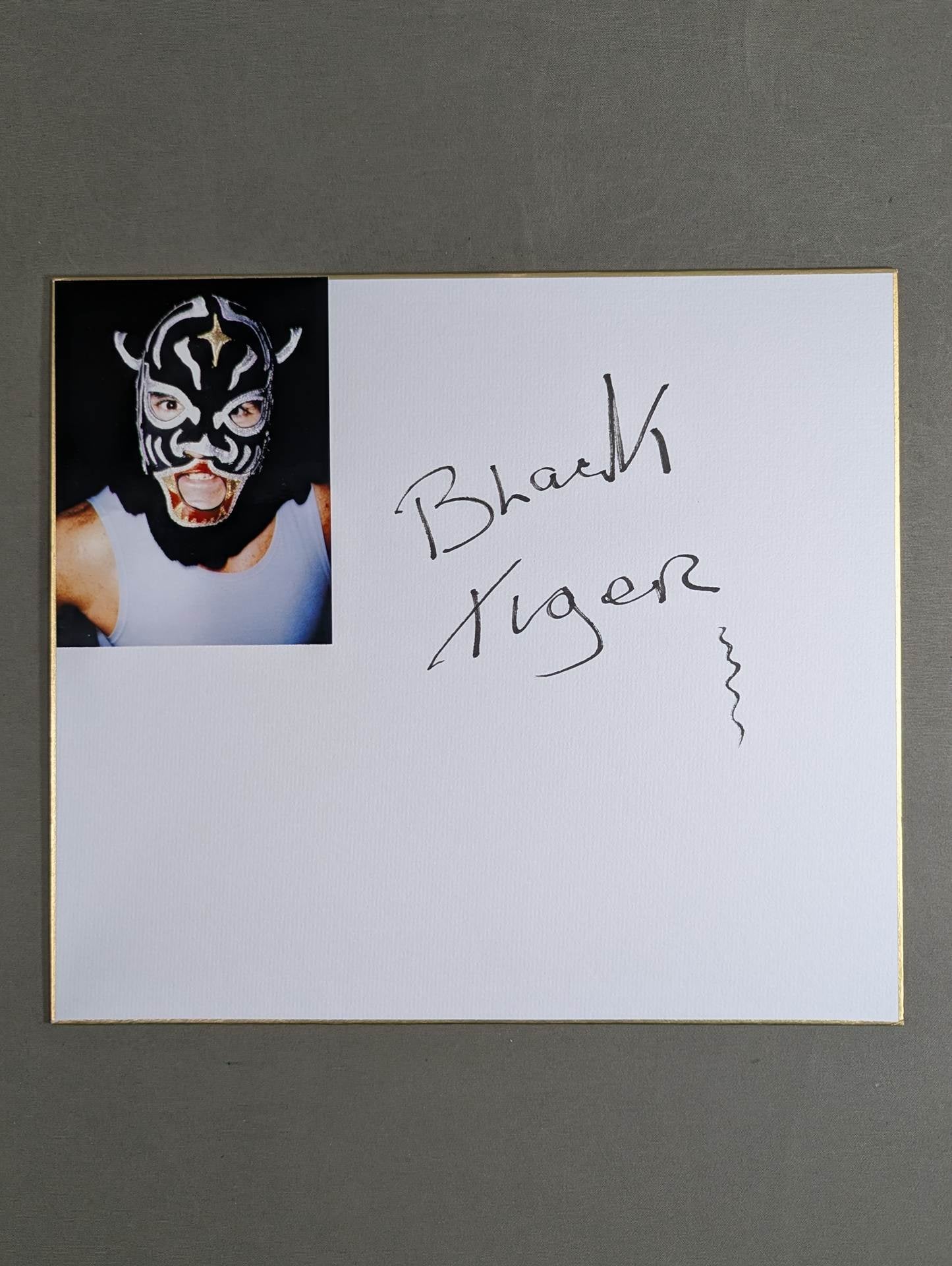 The first generation Black Tiger (photo attached)