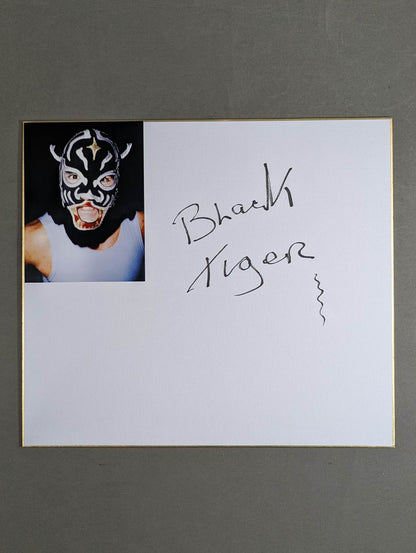 The first generation Black Tiger (photo attached)