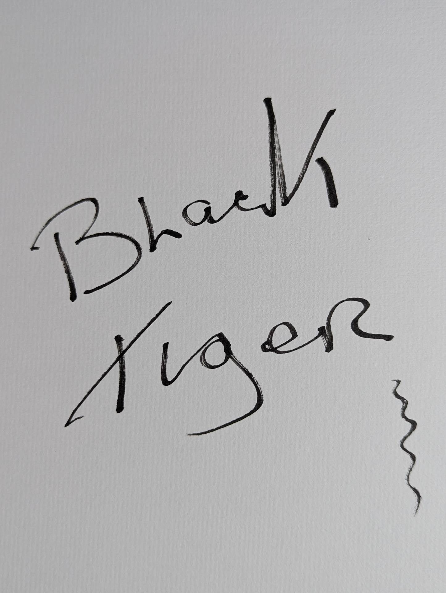 The first generation Black Tiger (photo attached)