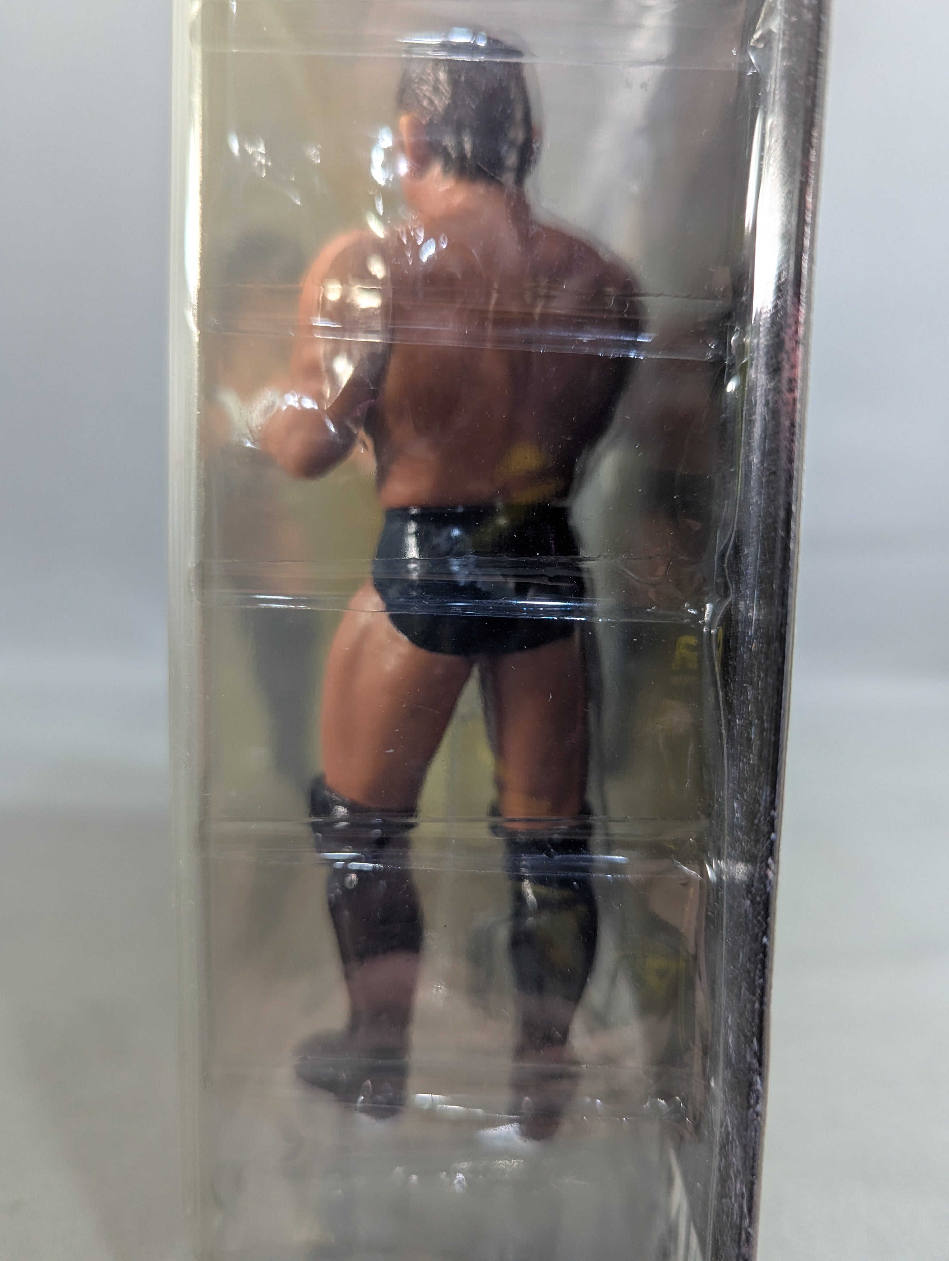 ☆MEMORIAL BOUT☆ 船木誠勝vs鈴木みのる – 闘道館