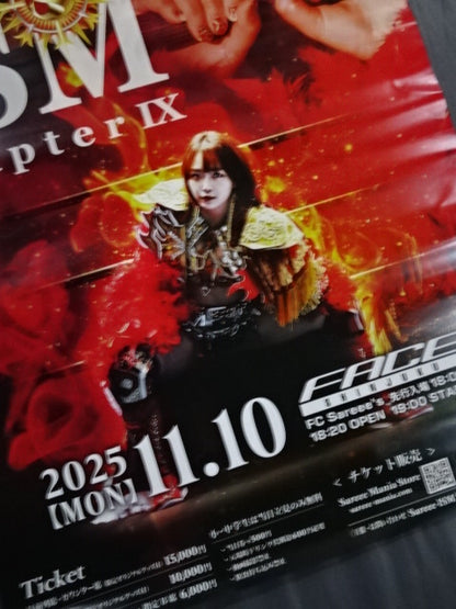 Sareee (SARRAY)  ISM Chapter IX.