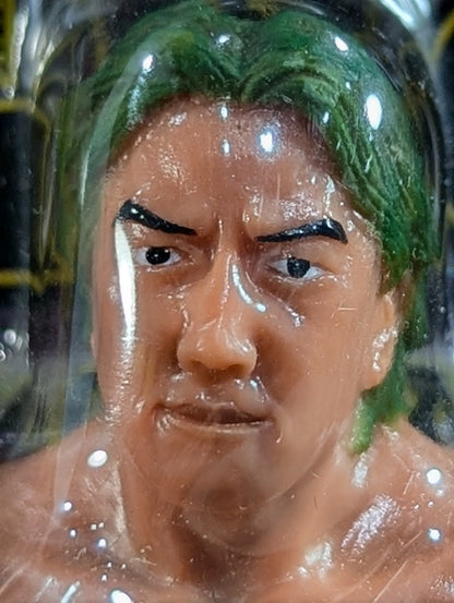 Yoshihiro Takayama  (GHC belt, GHC mount)