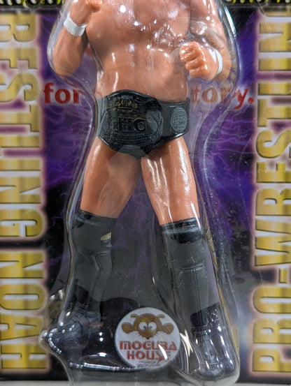 Yoshihiro Takayama  (GHC belt, GHC mount)