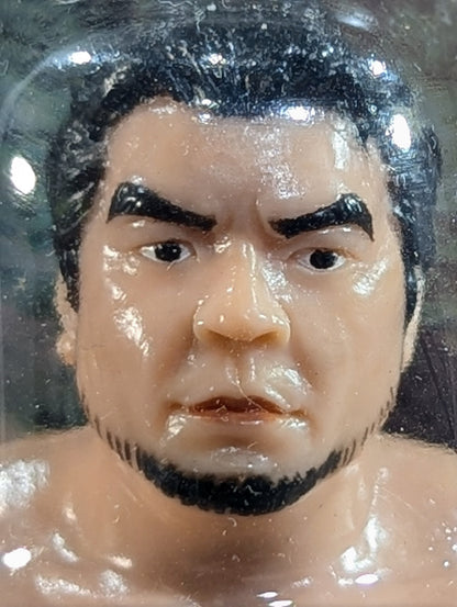 三沢光晴(ヒゲ・GHCベルト)