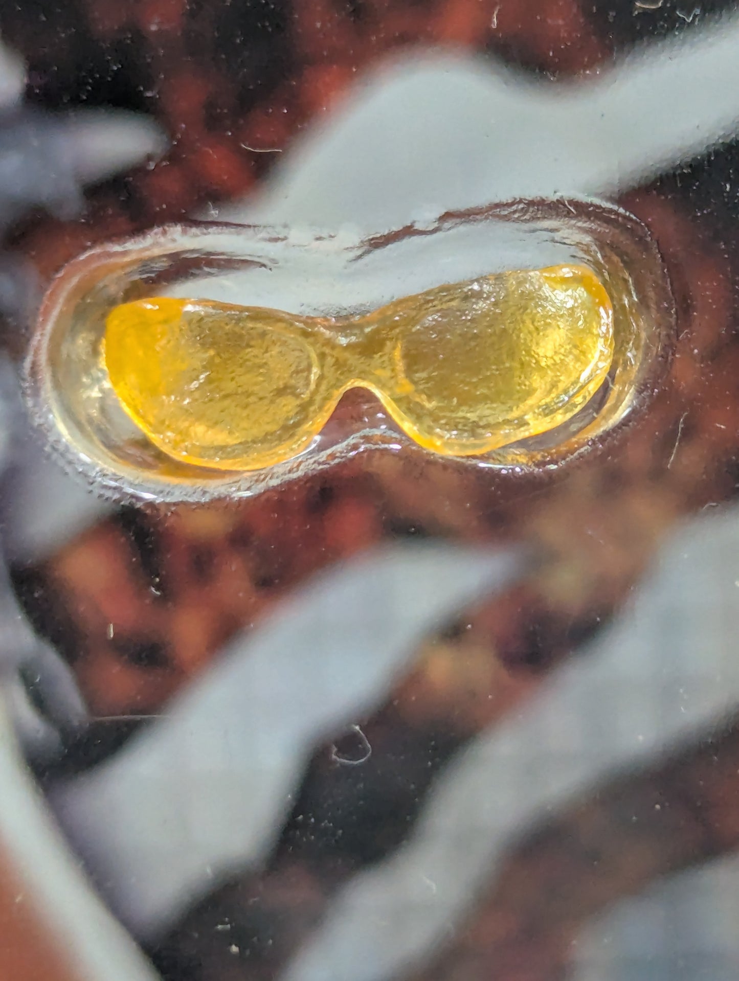 Satoshi Kojima  (DX)