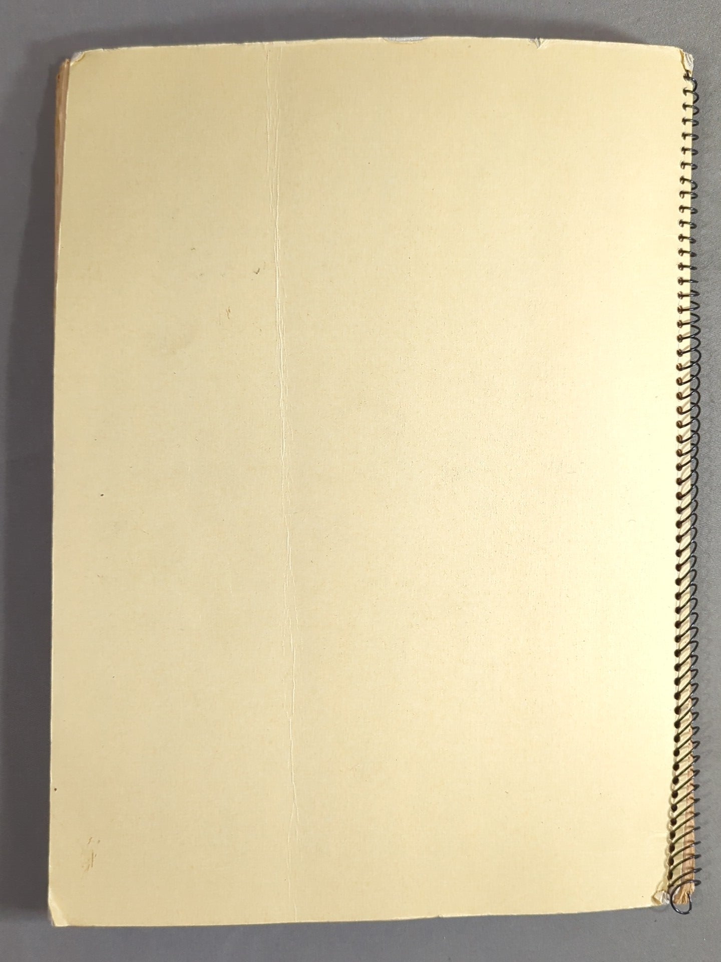 ★ Masked Nobleman ★ Mil Mascaras Scrapbook