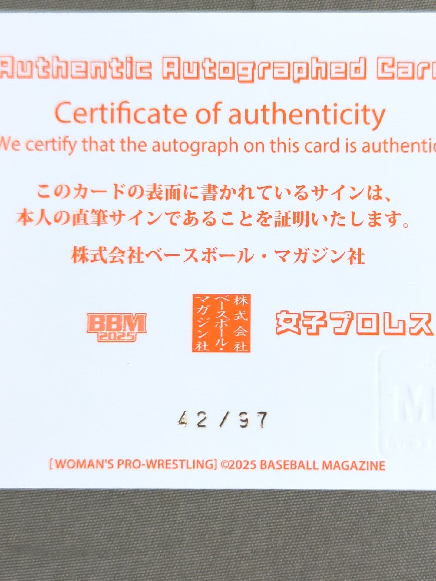 2025 BBM 橋本千紘 公式サインカード – 闘道館