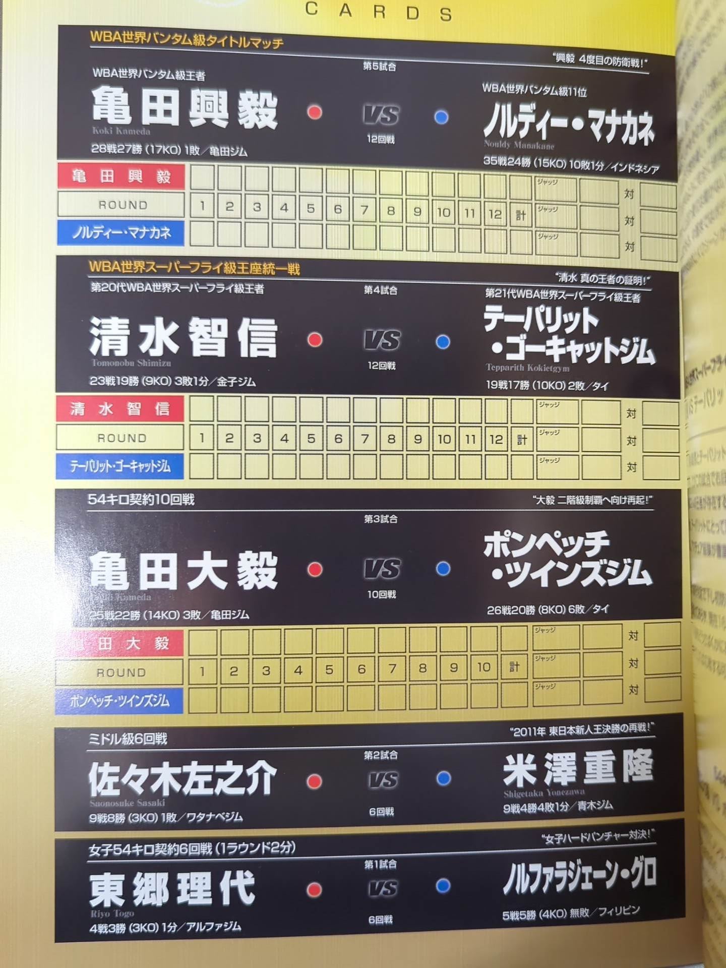 Koki Kameda & Tomonobu Shimizu World Double Title Match