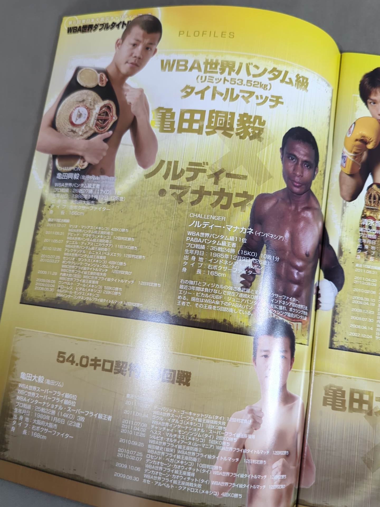 Koki Kameda & Tomonobu Shimizu World Double Title Match