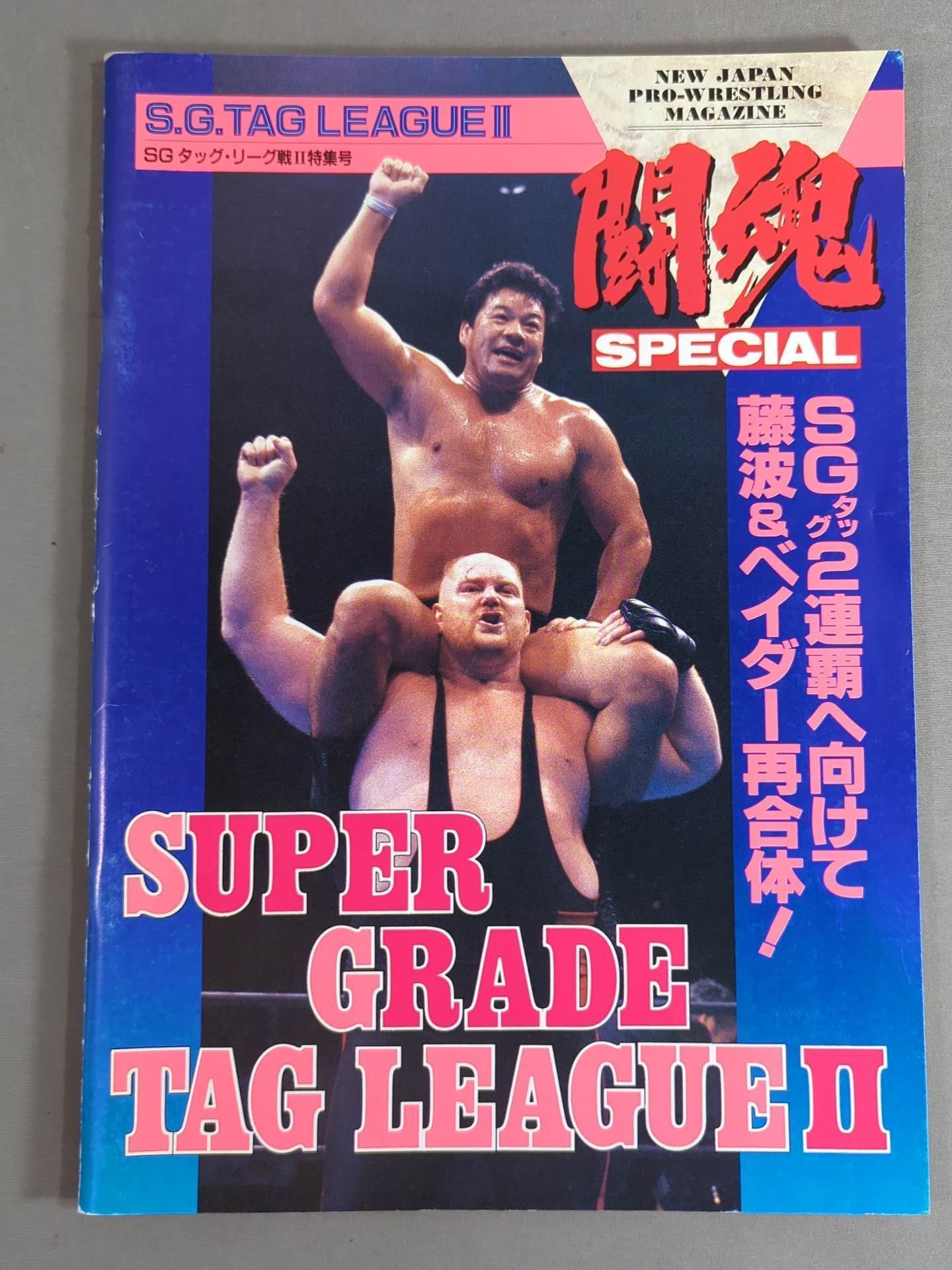 Fighting Spirit Special SG Tag League Battle II Special Issue