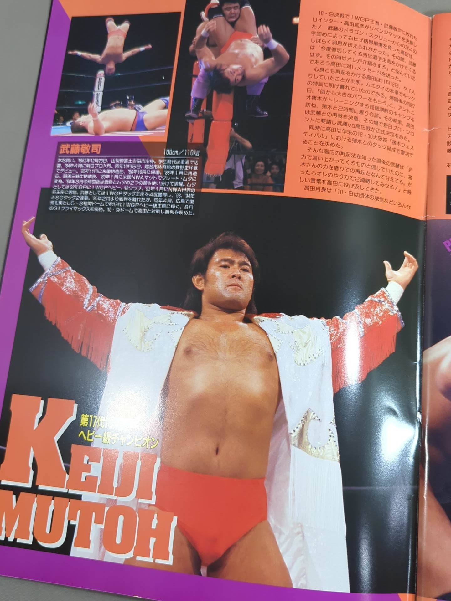 ☆高田vs武藤 第2戦☆ 96WRESTLING WORLD in闘強導夢 – 闘道館