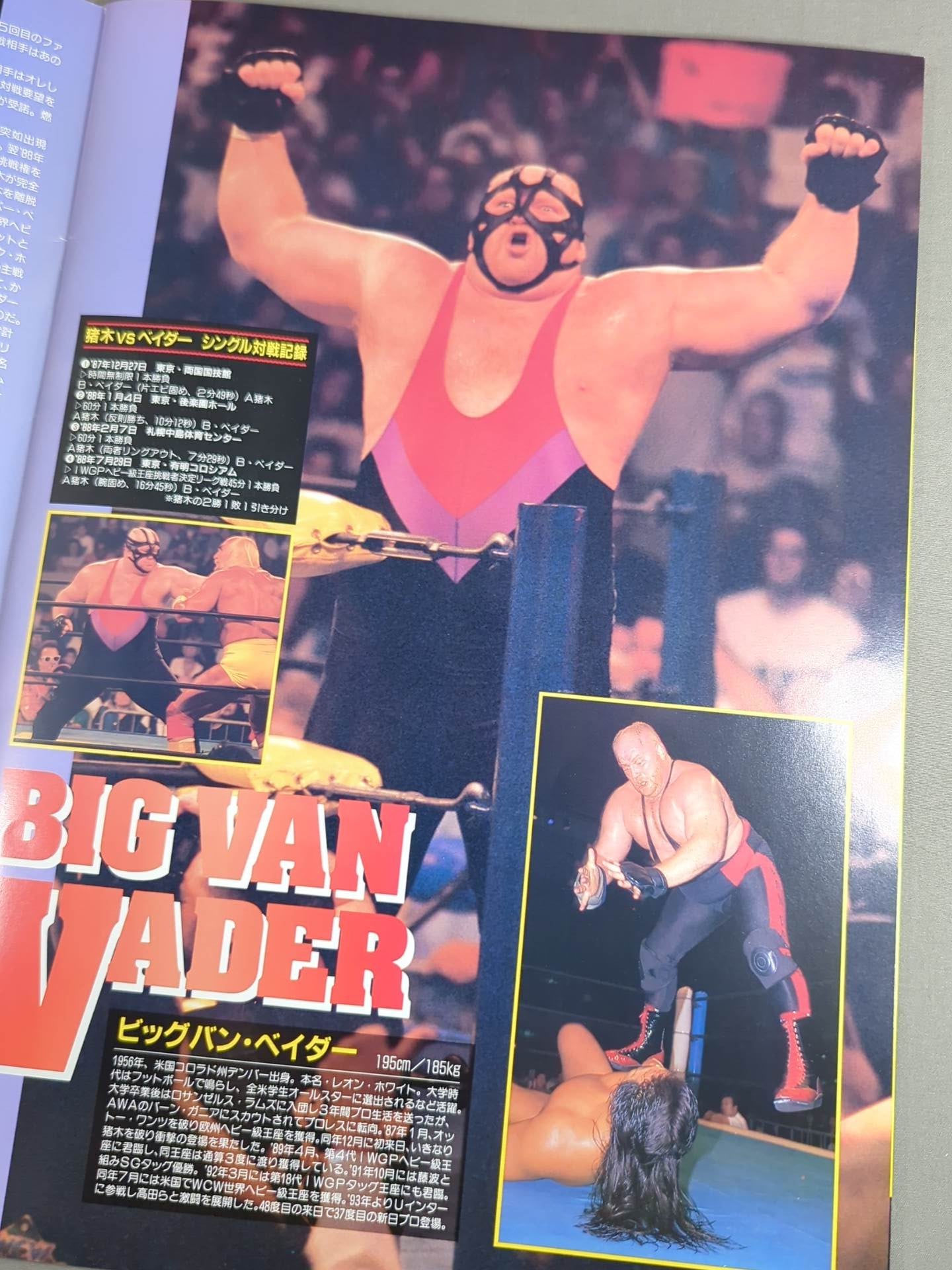 ☆高田vs武藤 第2戦☆ 96WRESTLING WORLD in闘強導夢 – 闘道館