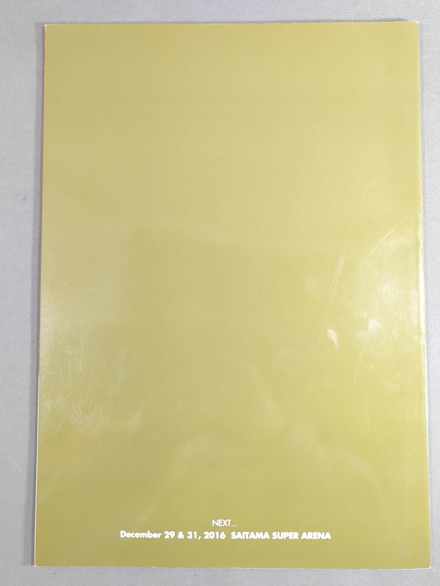 RIZIN FIGHTNG WORLD GP 2016 無差別級トーナメント 開幕戦