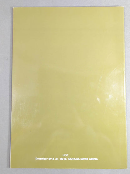 RIZIN FIGHTNG WORLD GP 2016 無差別級トーナメント 開幕戦