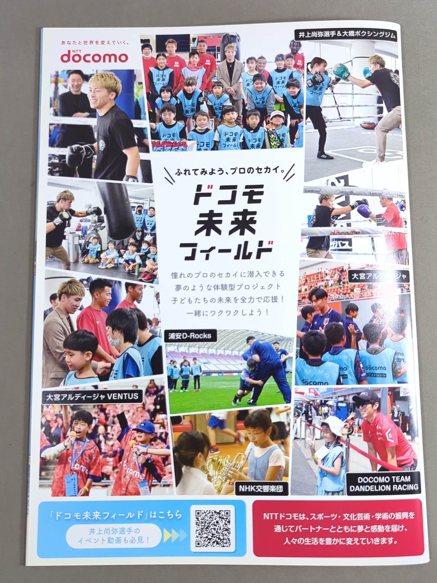 ☆4団体統一戦☆ 井上尚弥vsルイス・ネリ – 闘道館