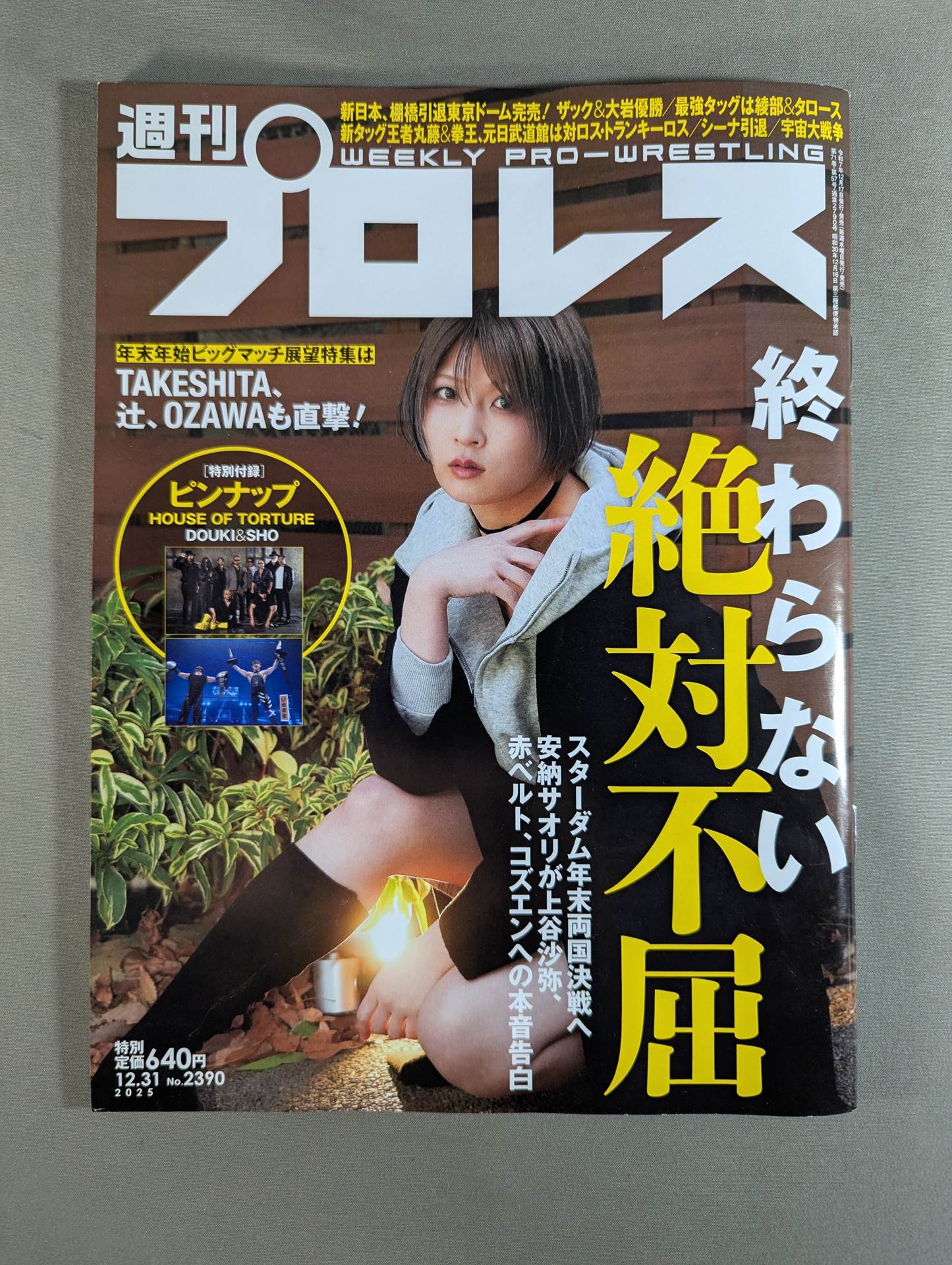 Weekly Pro Wrestling 2390