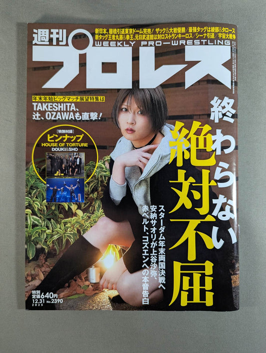 Weekly Pro Wrestling 2390