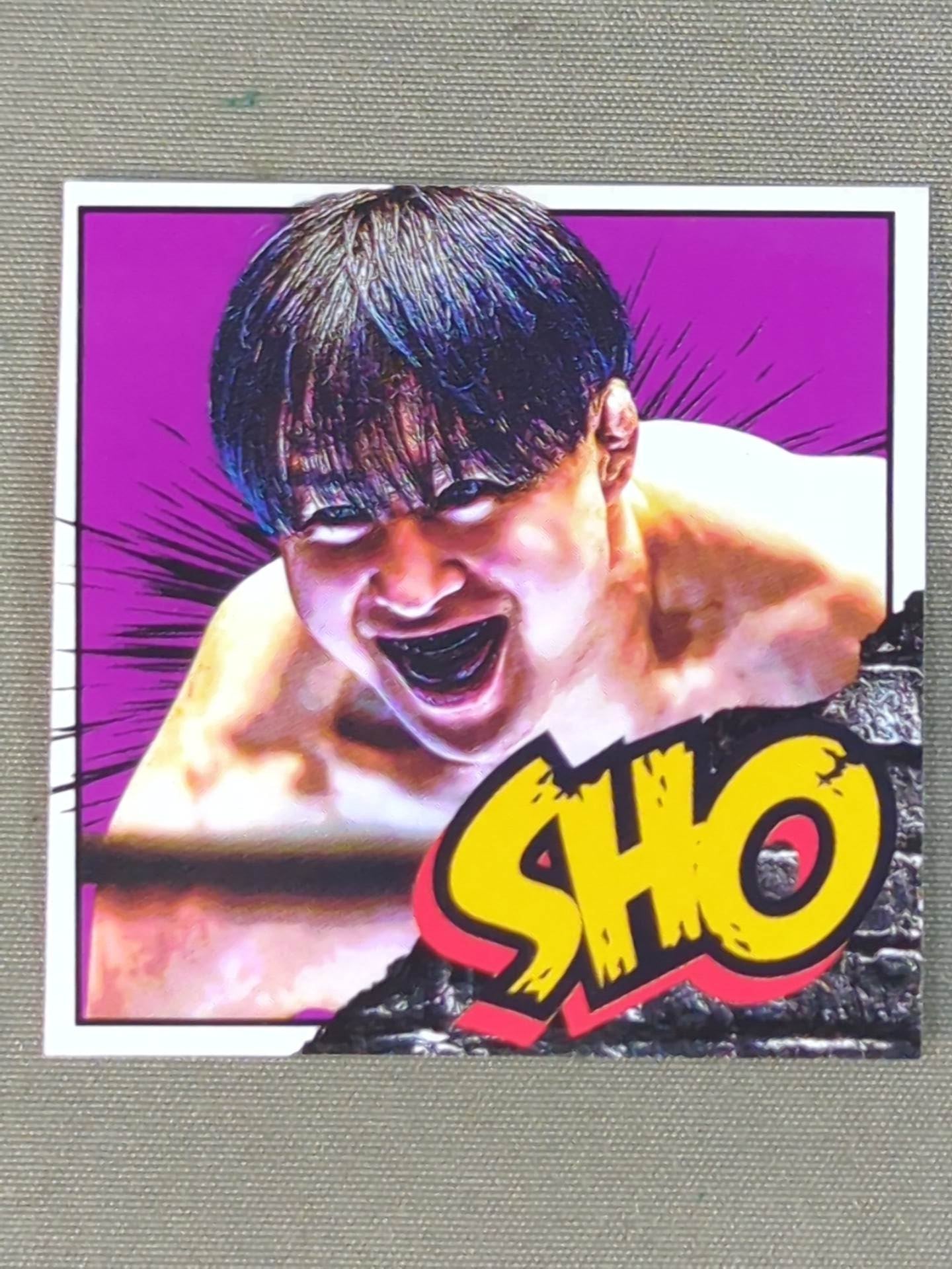 ★ ★ not sold in stores SHO "Best Of The Super Jr.32" venue-limited sticker
