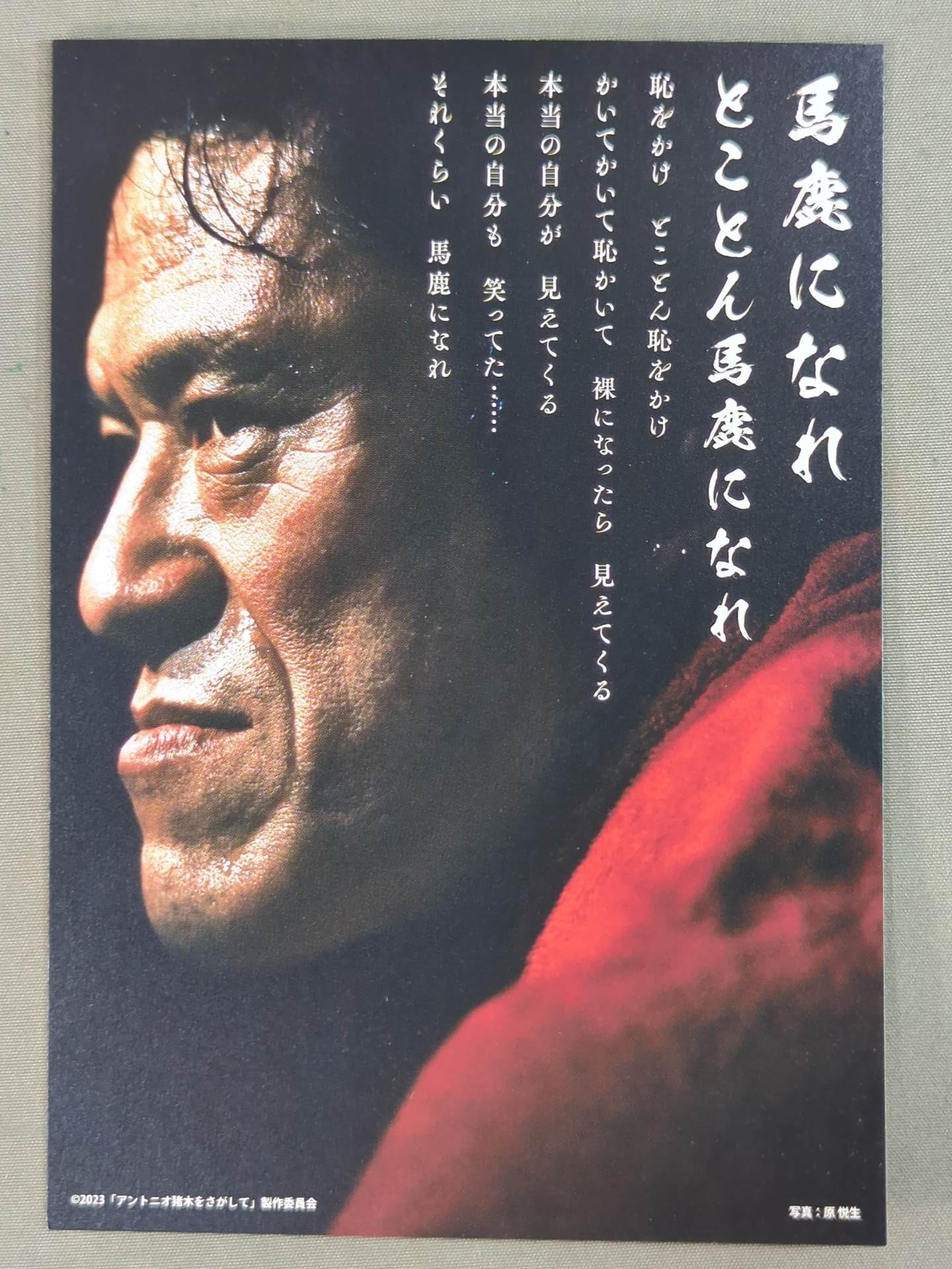 Finding Antonio Inoki  Postcard Set