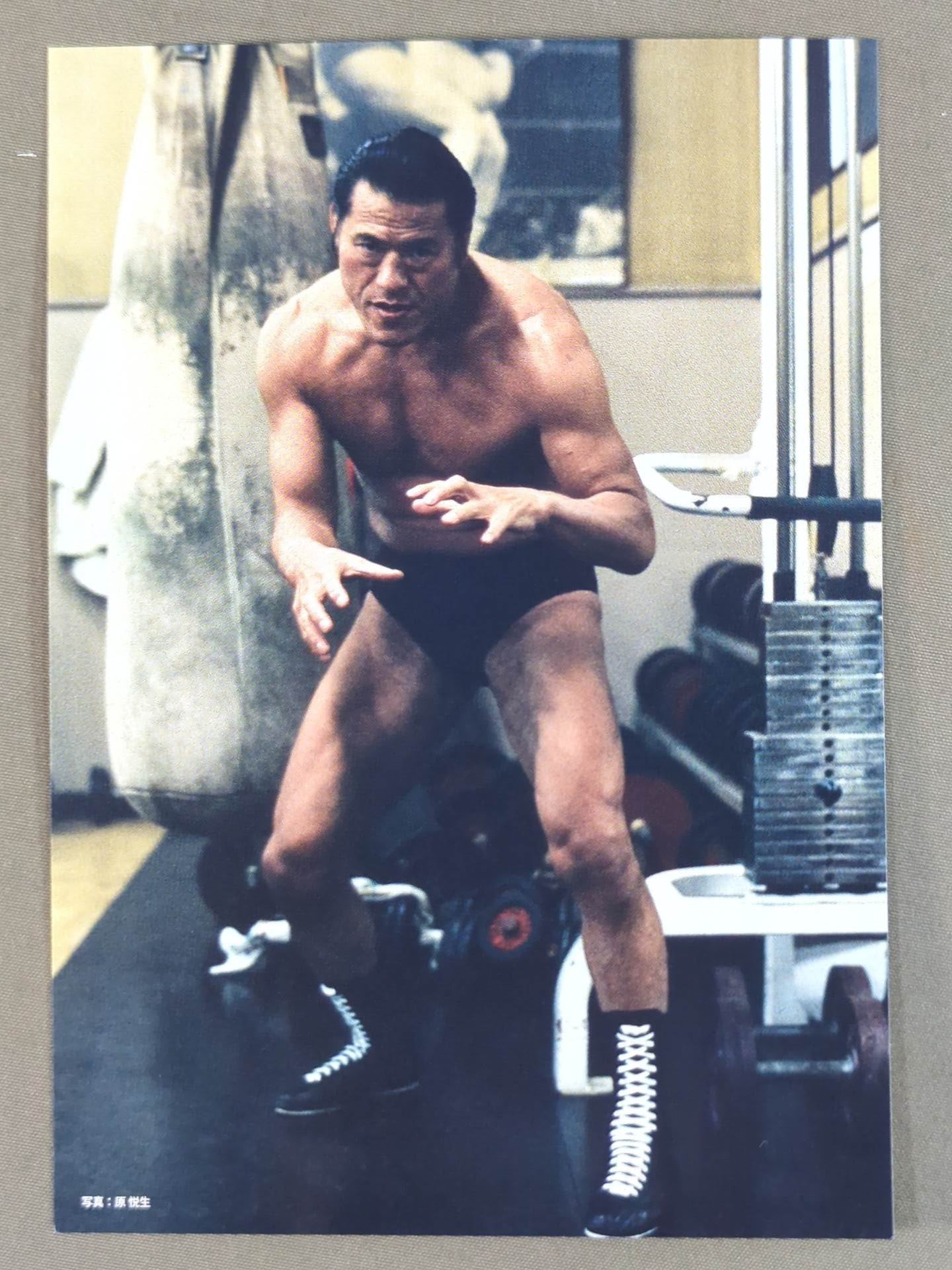 Finding Antonio Inoki  Postcard Set