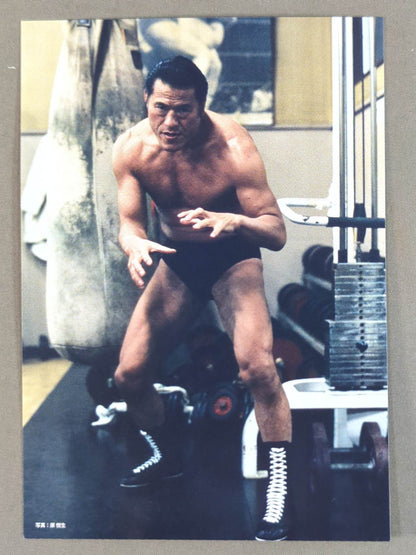 Finding Antonio Inoki  Postcard Set