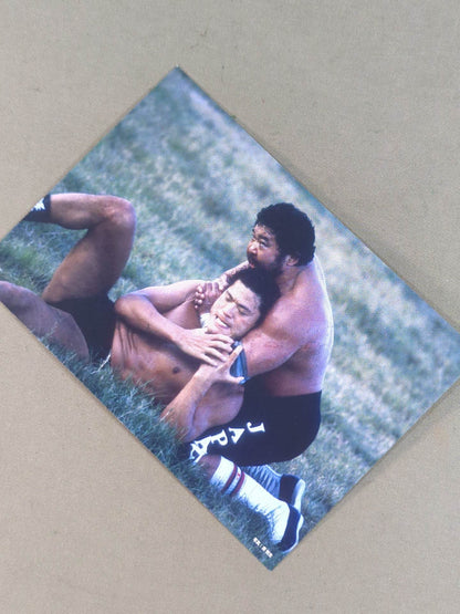 Finding Antonio Inoki  Postcard Set