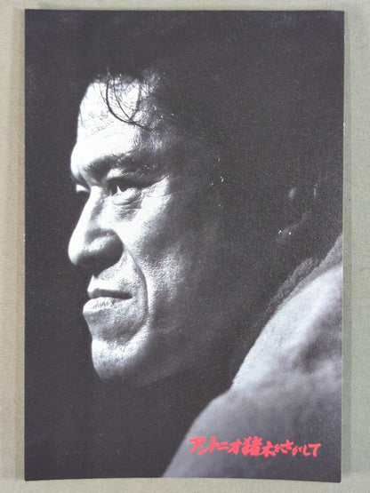 Finding Antonio Inoki  Postcard Set
