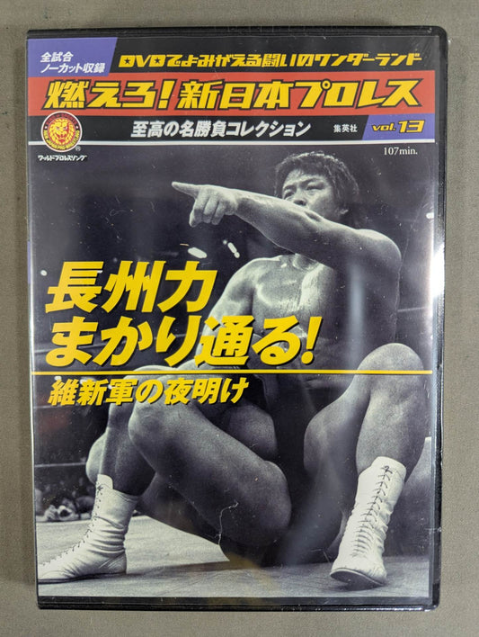 Burn! New Japan Pro Wrestling  vol.13