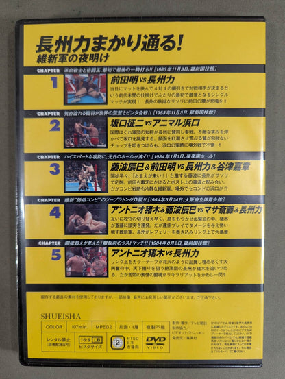 Burn! New Japan Pro Wrestling  vol.13