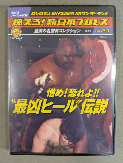 Burn! New Japan Pro Wrestling  vol.29