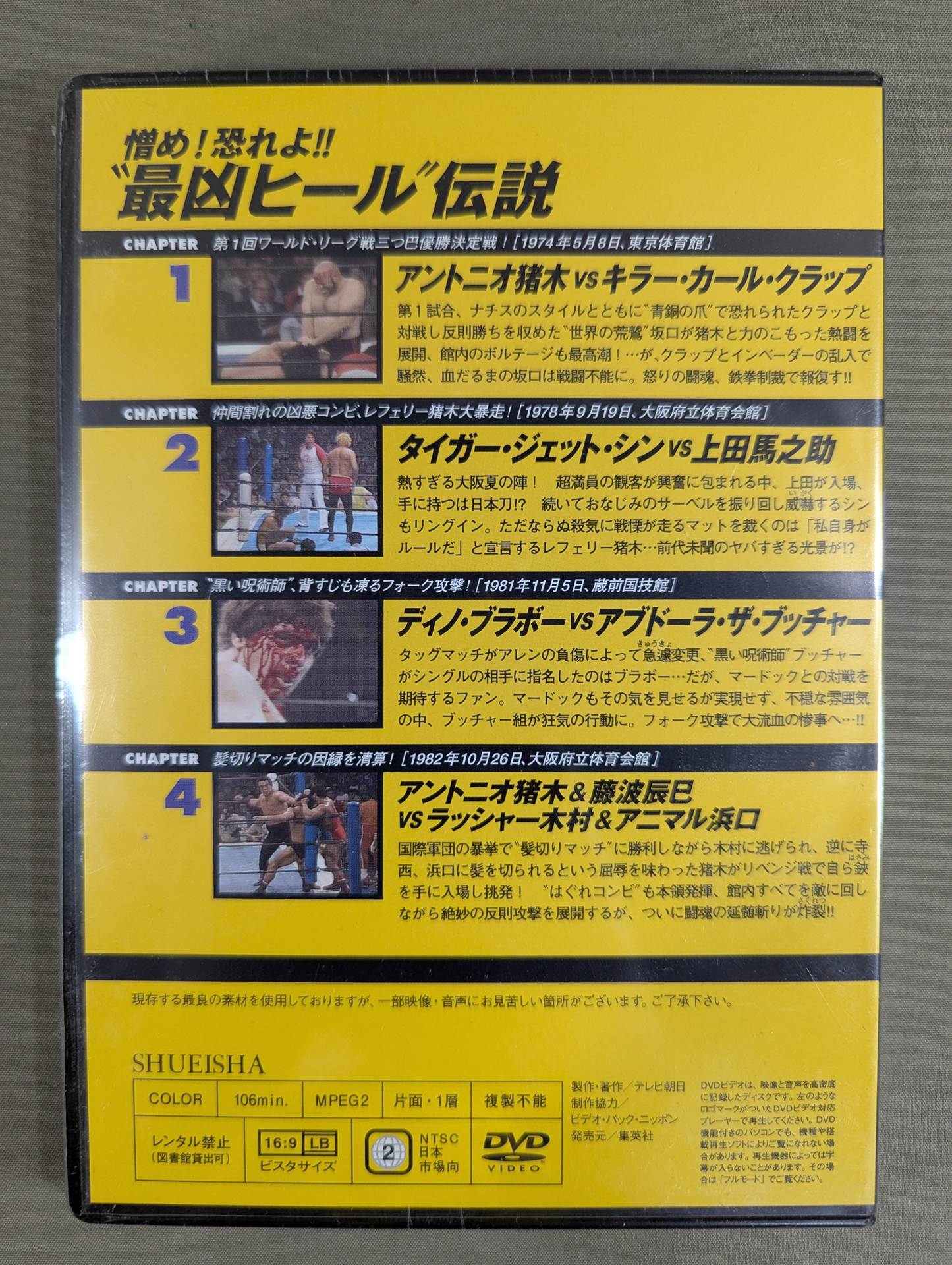 Burn! New Japan Pro Wrestling  vol.29