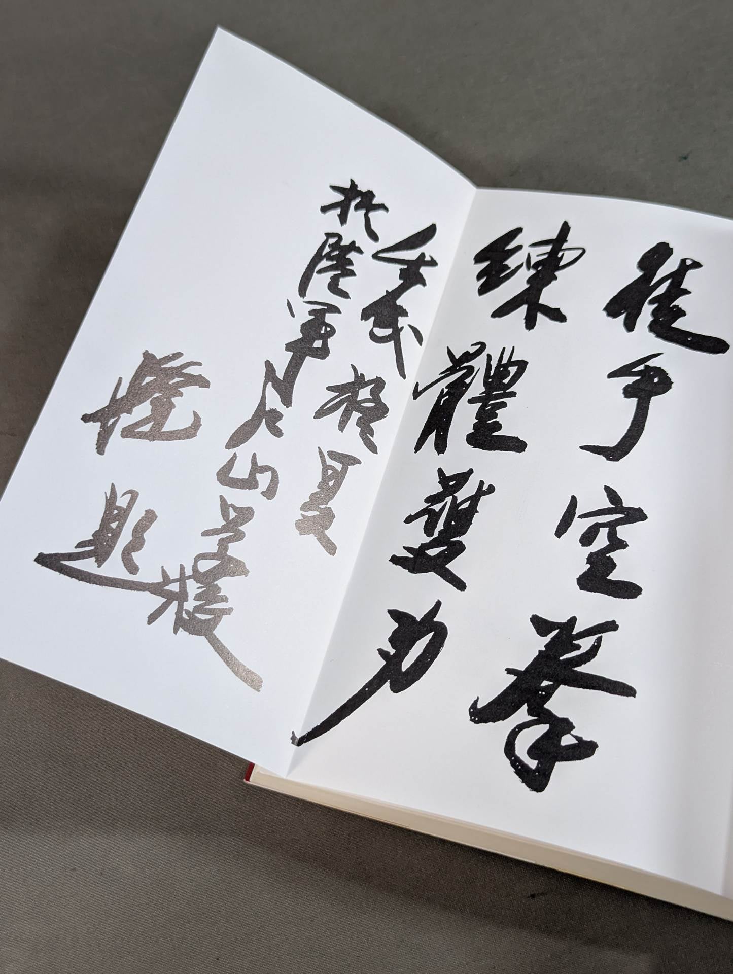 Courage Self-Defense Tang Surgery -Reprint Version-