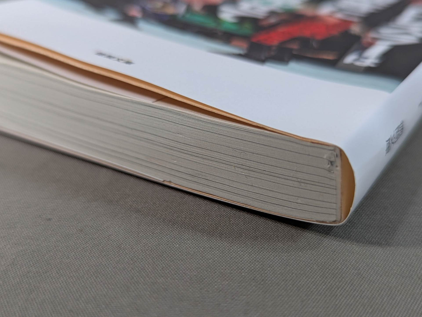 What a true pro wrestler shows to the audience What I have learned after 30 years of doing it