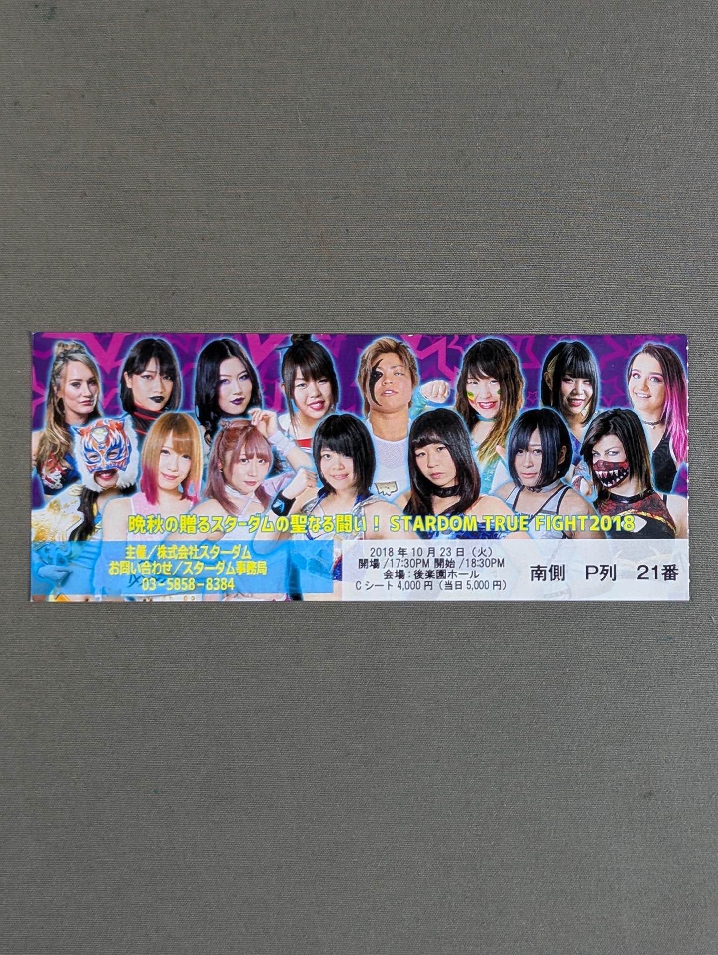 STARDOM TRUE FIGHT 2018 – 闘道館