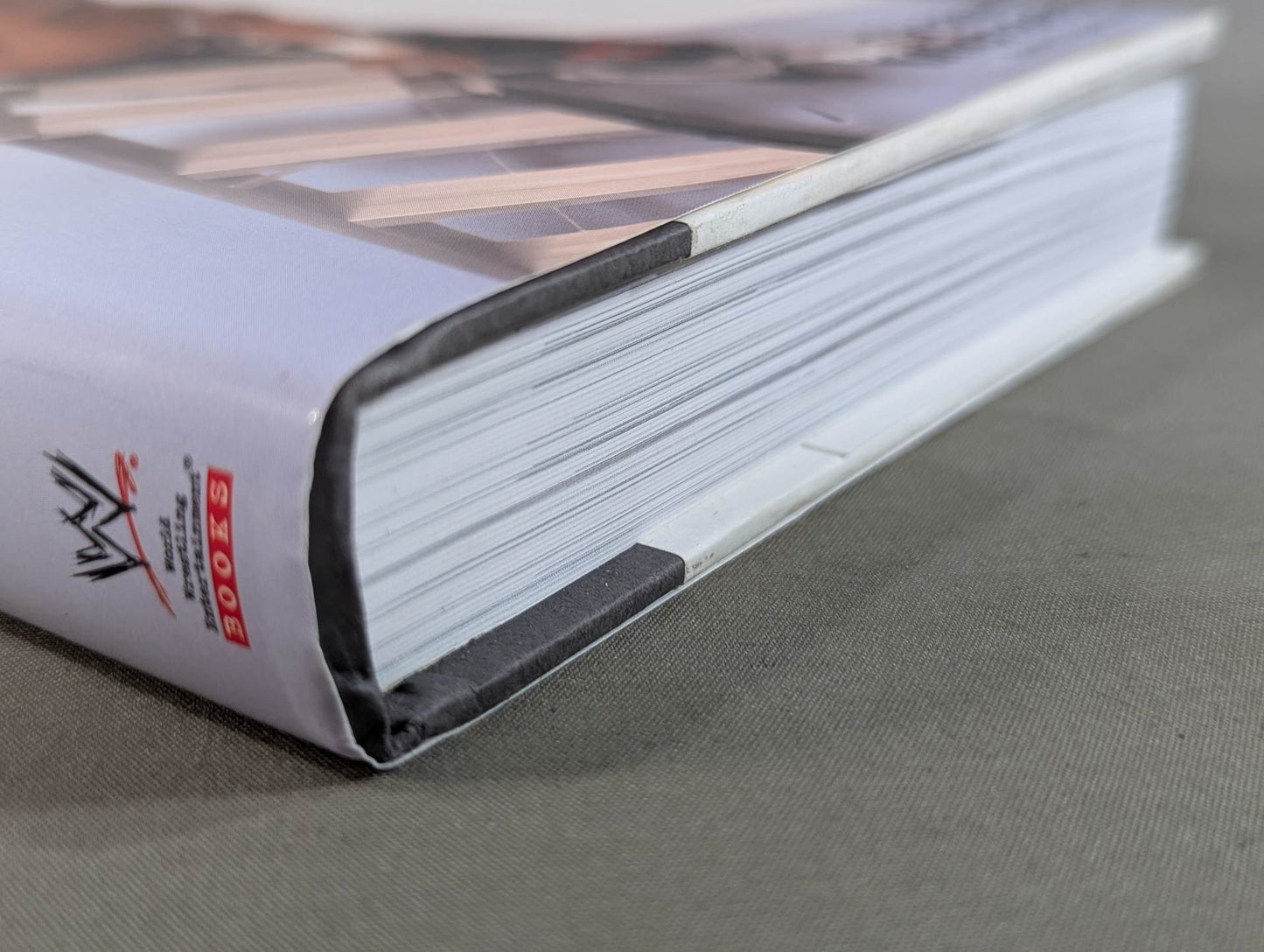 Heartbreak & Triumph: The Shawn Michaels Story