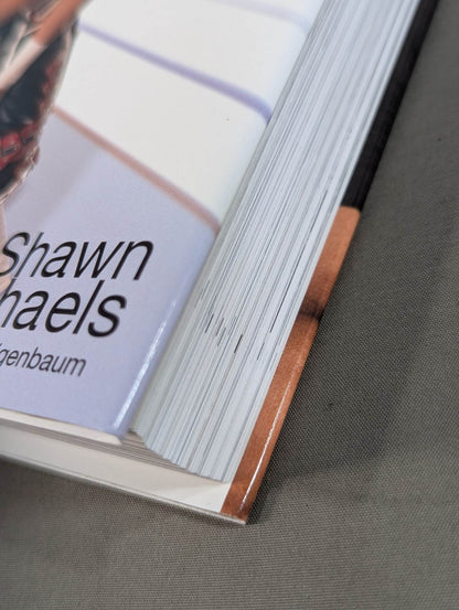 Heartbreak & Triumph: The Shawn Michaels Story