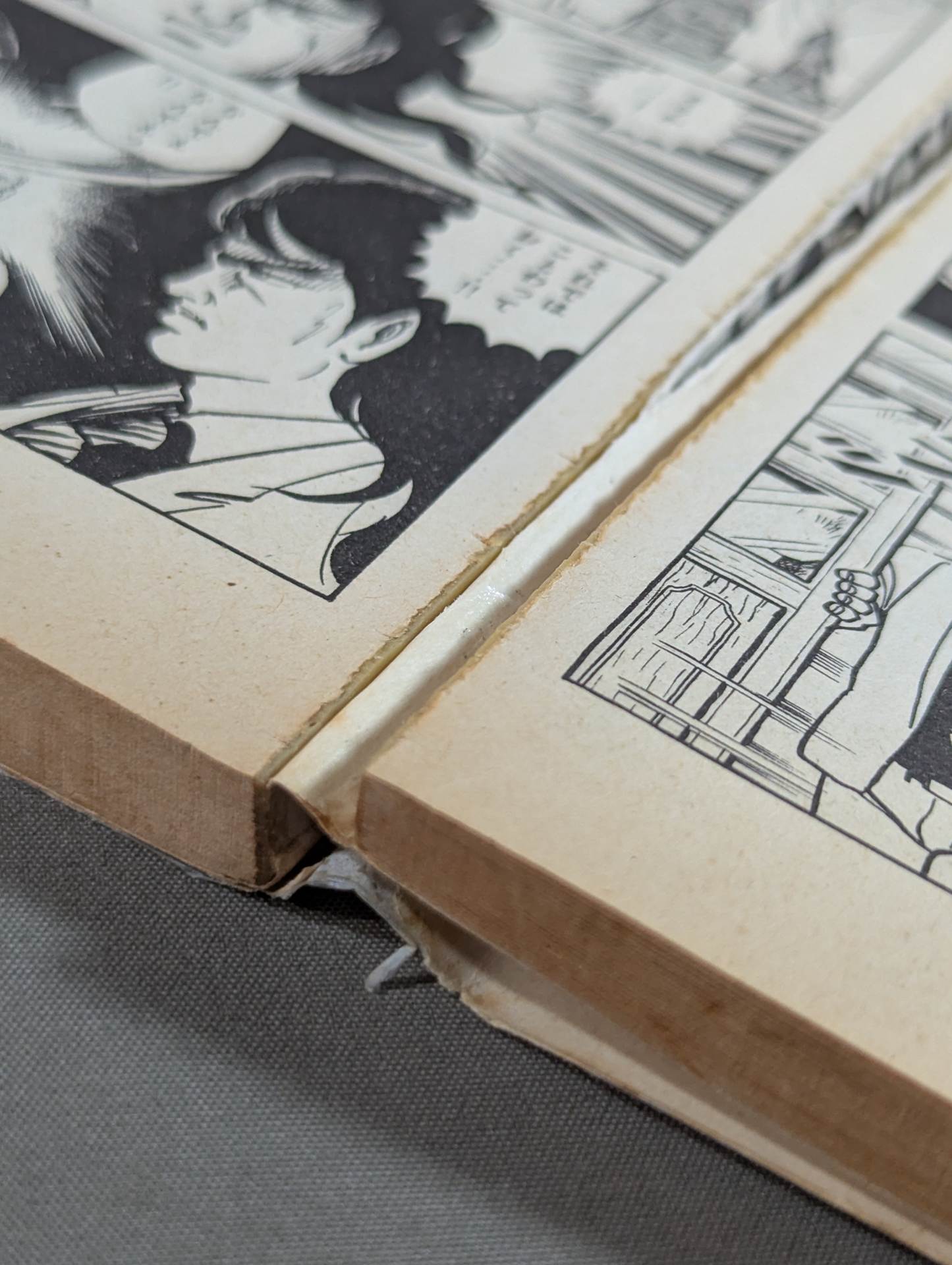 [29 volumes set] Karate for Life (Karate Baka Ichidai) 