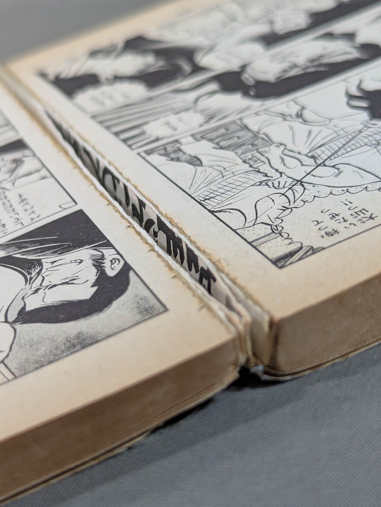 [29 volumes set] Karate for Life (Karate Baka Ichidai) 