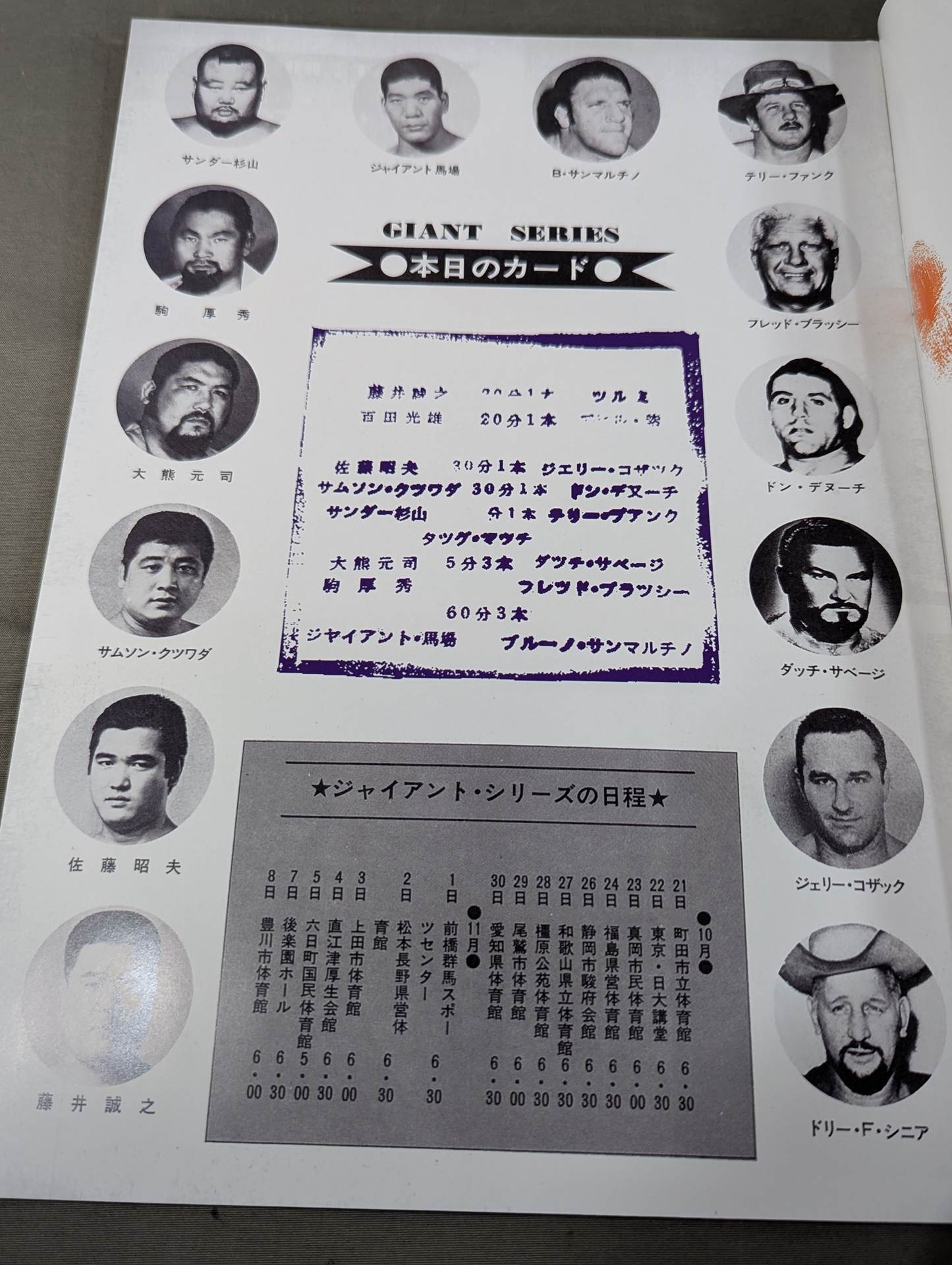 Full Swing Magazine No. 11 All Japan Pro Wrestling Flag Raising Starter Kid