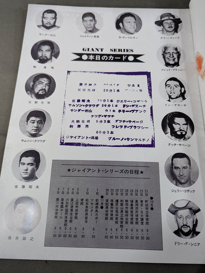Full Swing Magazine No. 11 All Japan Pro Wrestling Flag Raising Starter Kid