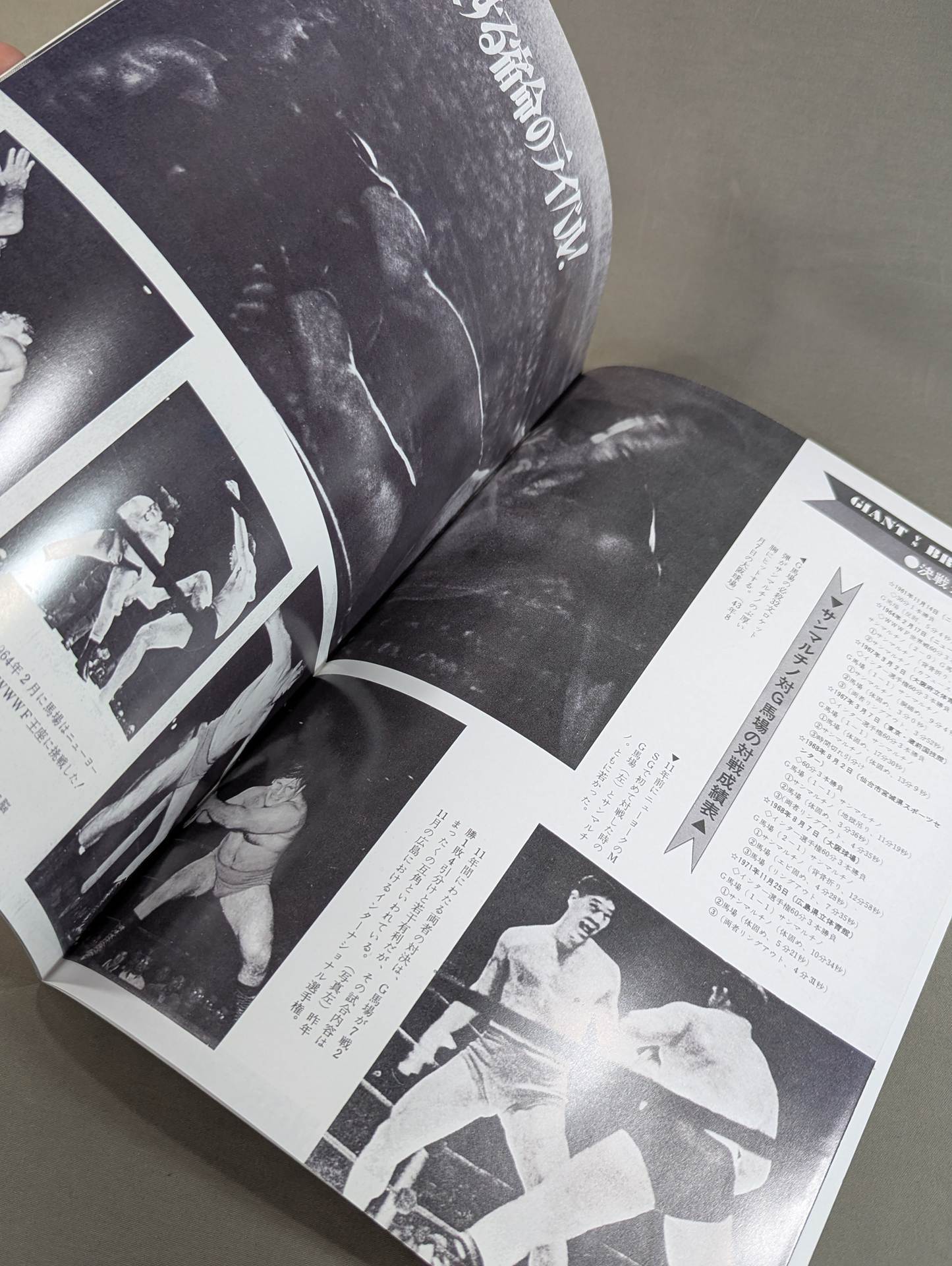 Full Swing Magazine No. 11 All Japan Pro Wrestling Flag Raising Starter Kid