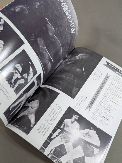 Full Swing Magazine No. 11 All Japan Pro Wrestling Flag Raising Starter Kid