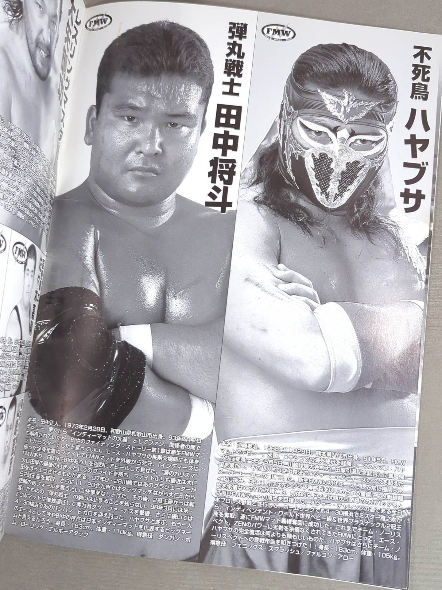 FMW OFFICIAL GUIDE BOOK 1998 Vol.2