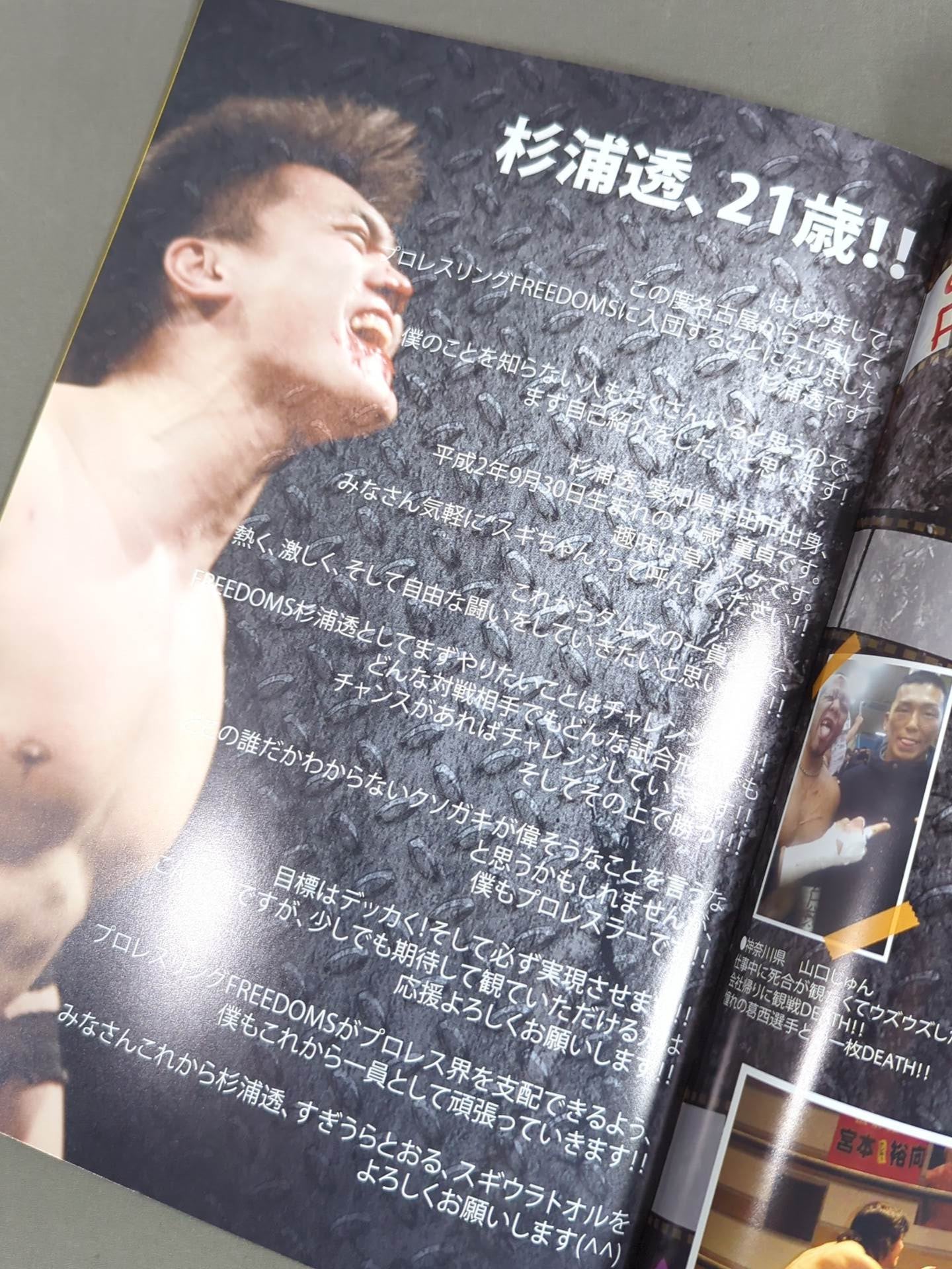 FREEDOMS オフィシャルパンフレット(2012年)