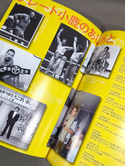 FREEDOMS オフィシャルパンフレット(2012年)